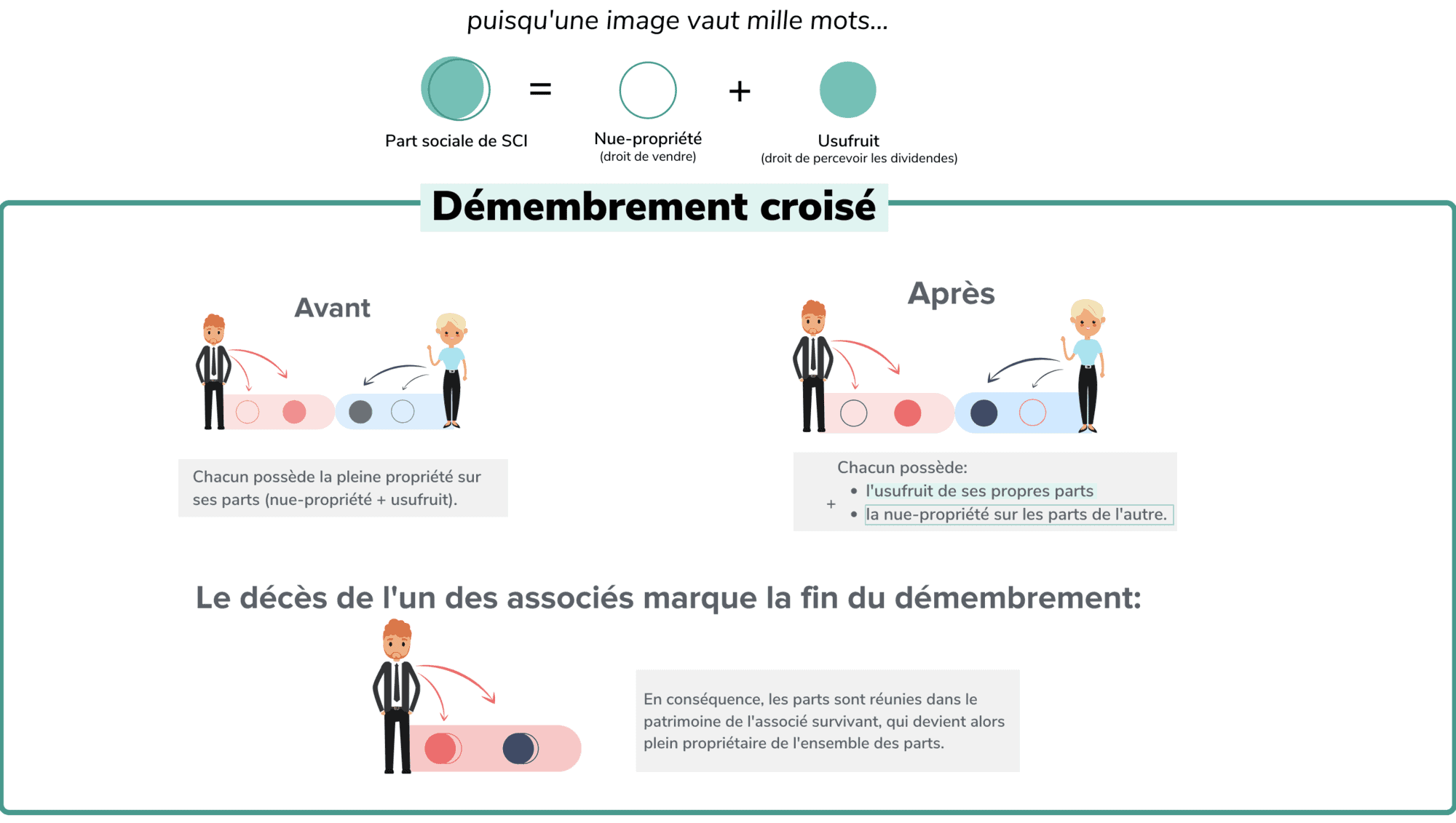 Démembrement croisé des parts sociales en SCI